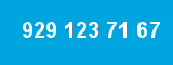 929 123 71 67